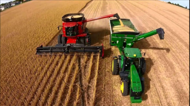 Pese a la cosecha récord, la liquidación de dólares del campo cayó 11% en el primer cuatrimestre