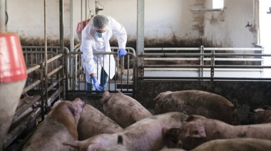 Lincoln refuerza la prevención durante la Semana de Lucha contra la Triquinosis