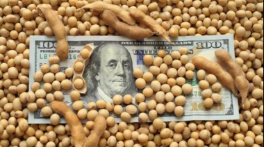 Las empresas agroexportadoras liquidaron U$S 2.677 millones en mayo