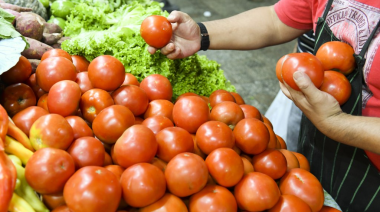 Las verduras aumentaron 33,4 % en mayo respecto a abril, según un informe