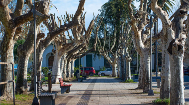 Alem impulsa junto a la UNLP proyectos de investigación sobre el arbolado urbano y el Balneario Municipal