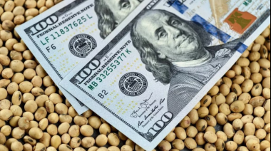 Pese a la cosecha récord, el campo liquidó menos: los detalles del informe