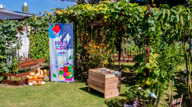 Vuelve “Huerta en Casa” con nuevas charlas gratuitas para promover la autoproducción y una alimentación saludable