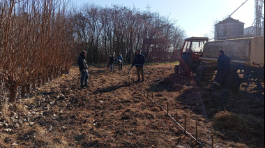 El Estaquero Municipal de Junín distribuyó 2.800 estacas para promover la forestación