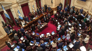 El Senado aprobó en general la reforma de la Ley de Salud Mental, que habilita internaciones involuntarias