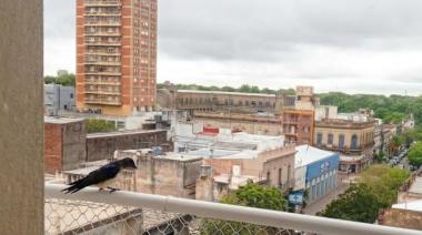 Empiezan a llegar las primeras golondrinas migratorias a Junín y la Región tras viajar miles de kilómetros desde Norteamérica