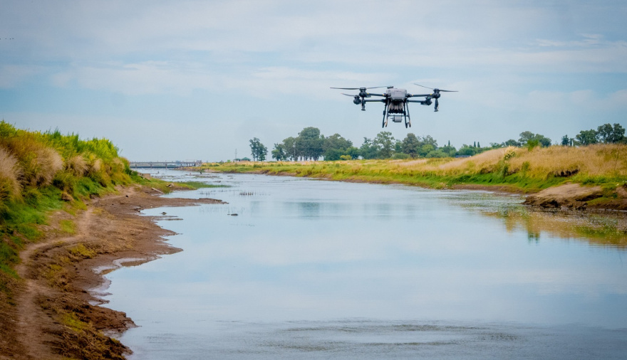Junín intensifica los operativos contra el barigüí con drones y control biológico