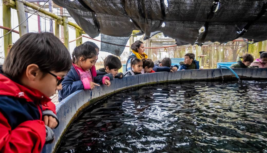 Alumnos de la Escuela 15 de Agustina participaron de una jornada educativa y ambiental en el PNLG