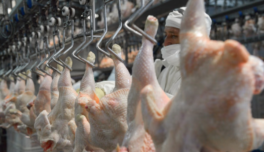 El pollo hace historia en la mesa de los argentinos: ya supera a la carne vacuna en consumo