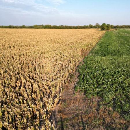 Referentes del campo destacaron la baja de las retenciones por parte del Gobierno