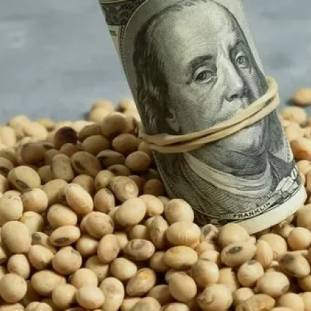 Tras la baja de retenciones, el agro liquidó más de US$ 2.100 millones en febrero