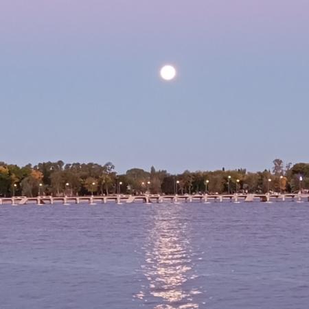 La magia del agua vuelve a las lagunas de Junín con reflejos que inspiran a fotógrafos para tomar postales soñadas