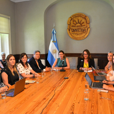 Celebran la derogación del artículo que disponía el veto a las leyes de Financiamiento Universitario y Discapacidad