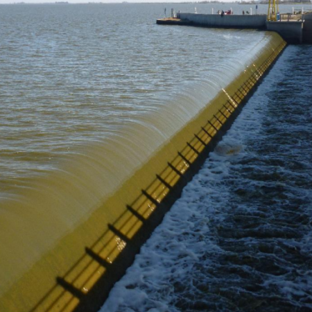 Sugieren instalar un sistema de transferencia de peces en el vertedero de la Laguna de Gómez