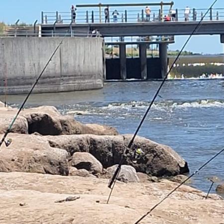 Detectaron 15 infracciones por pesca furtiva en lagunas del partido de Junín