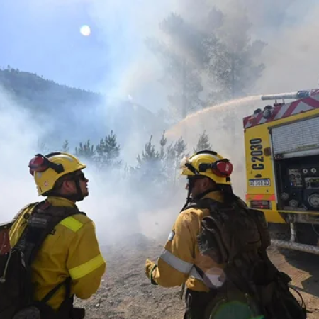 Drama en la Patagonia: el fuego ya afectó 45 mil hectáreas y hay cuatro parques en alerta