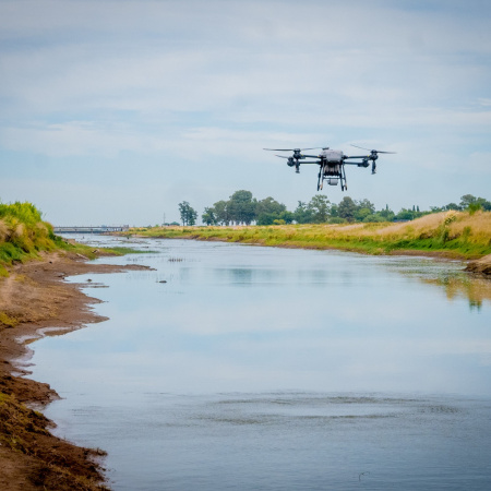 Junín intensifica los operativos contra el barigüí con drones y control biológico