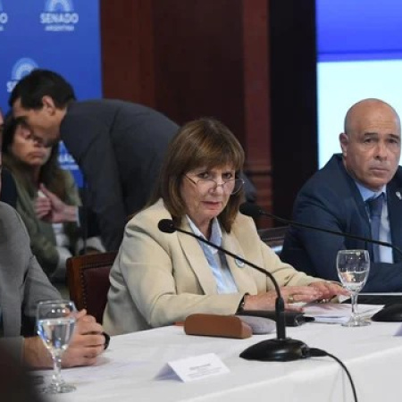 Dictamen exprés en el Senado: La Libertad Avanza quiere aprobar el viernes 27 la reforma de Milei