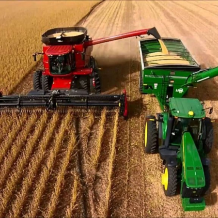 Se mantienen las proyecciones de cosecha para soja y maíz tras las lluvias de febrero