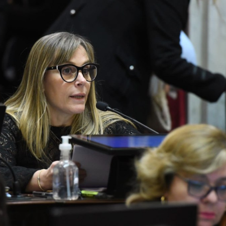 En el Senado, el peronismo embistió contra Milei por Libra: “Es un estafador, cobró más de 5 millones de dólares”