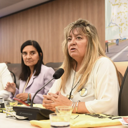 Diputados abordó el proyecto sobre siniestralidad vial que busca endurecer penas