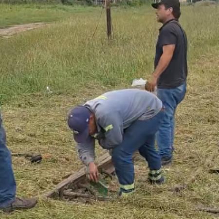 Por la cosecha récord: en Rojas repararon un cambio de vías para el regreso de un tren de carga