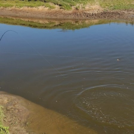 Cómo tramitar el carnet de pesca deportiva en la provincia de Buenos Aires