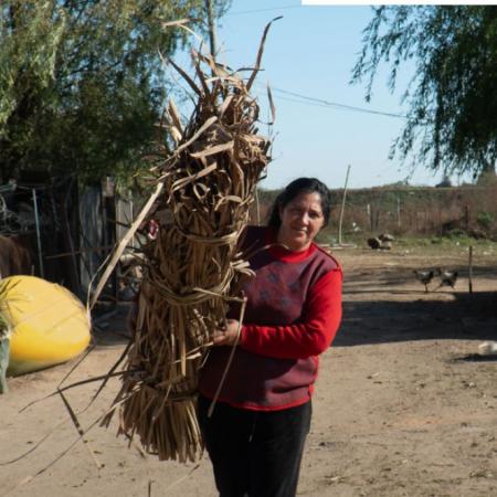 Junín: invitan a un encuentro sobre comunidad, paisaje y saberes en torno a la totora