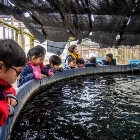 Alumnos de la Escuela 15 de Agustina participaron de una jornada educativa y ambiental en el PNLG