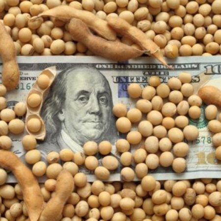 Las empresas agroexportadoras liquidaron U$S 2.677 millones en mayo
