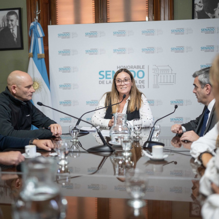 Valeria Arata asumió la presidencia de la Comisión de Presupuesto del Senado bonaerense