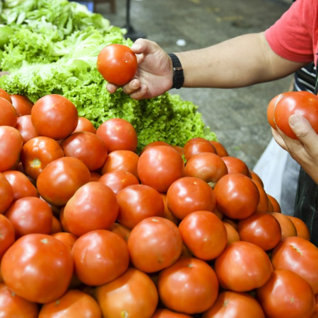 Las verduras aumentaron 33,4 % en mayo respecto a abril, según un informe
