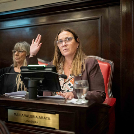 Arata advierte que los servicios representan más del 12% de la canasta familiar y alerta por el impacto de la quita de la Zona Fría