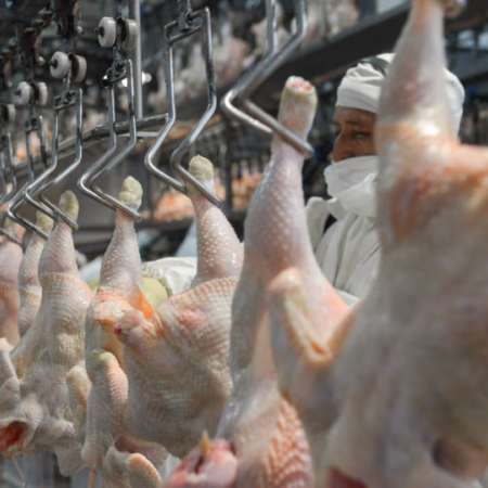 El pollo hace historia en la mesa de los argentinos: ya supera a la carne vacuna en consumo