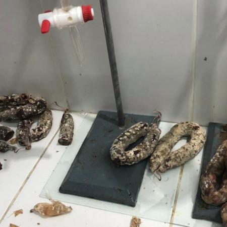 Tras casos confirmados de triquinosis, el Municipio de Lincoln inspecciona comercios que venden chacinados y embutidos de cerdo