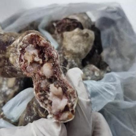 Detectan larvas de triquinosis en chacinados de una carnicería de Lincoln y clausuran preventivamente el comercio