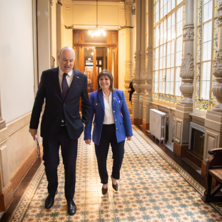 Senado: con los votos justos, el oficialismo busca aprobar el proyecto para vender tierras a extranjeros