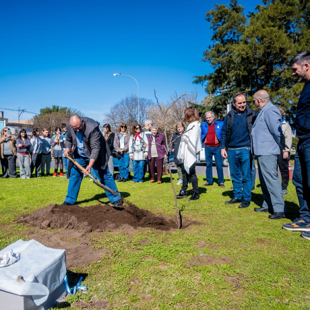 Junín celebró el Día del Árbol con la plantación de un histórico retoño del algarrobo sanmartiniano