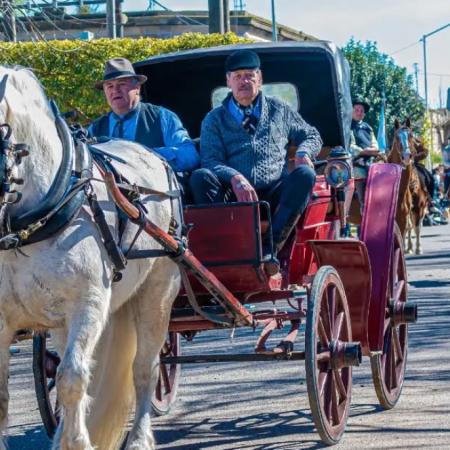 Una multitud participó de la Fiesta del Fortín 2026