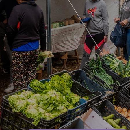 El Gobierno de Junín desembarca en Saforcada con los programas La Muni y Mercado en tu barrio