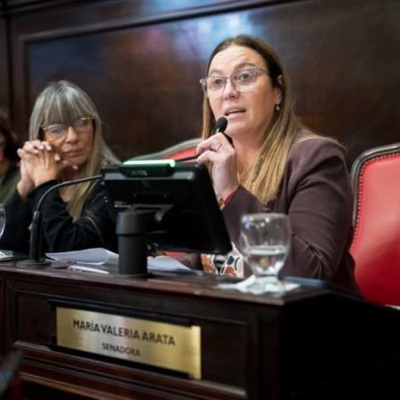 Arata propuso una ley para que los municipios bonaerenses se anticipen al cambio climático
