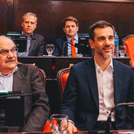 Petrecca cuestionó la atención de salud mental a través de IOMA: “No alcanza con hablar si no se garantiza la atención”
