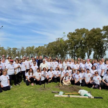Vida Plena: Tai Chi, Qi Gong y una comunidad que crece en Junín